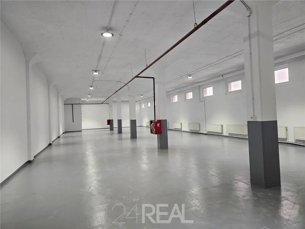Spatii depozitare, productie, birouri, showroom-uri - de la 450 mp — 3