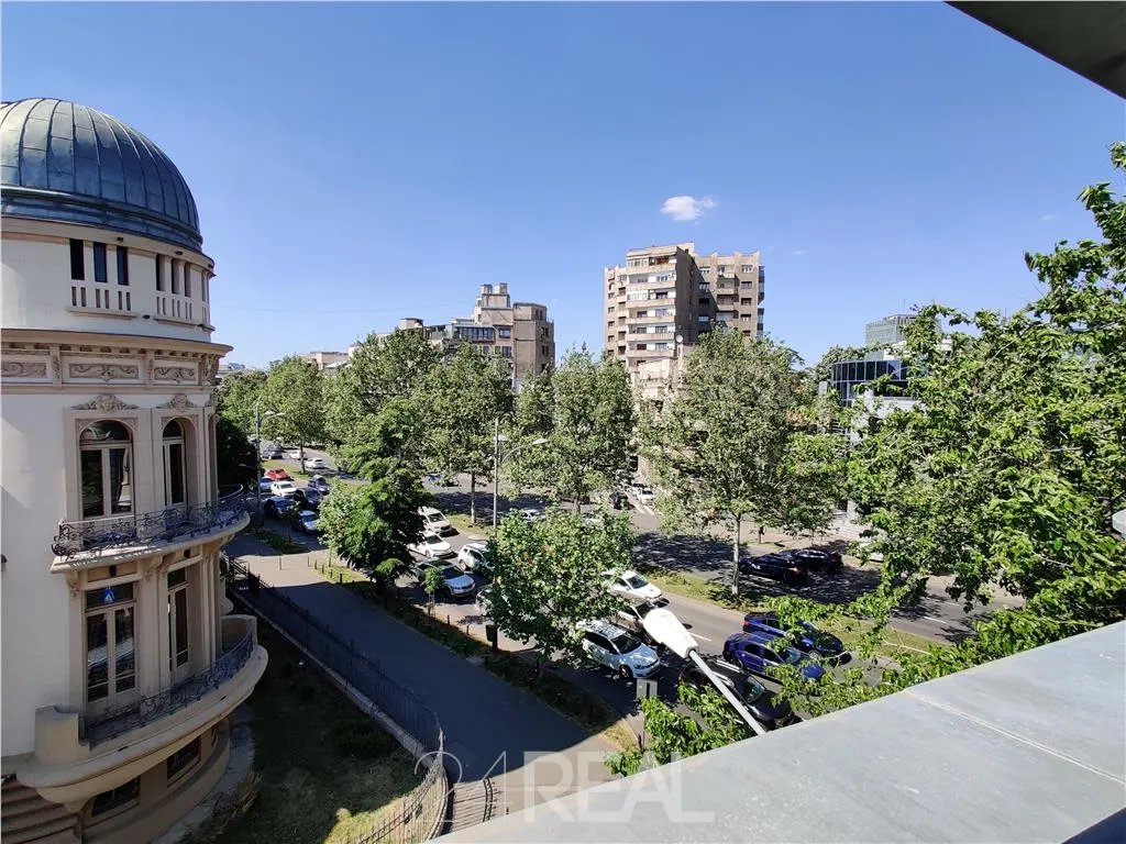 Vila de prestigiu - Lascar Catargiu — 3
