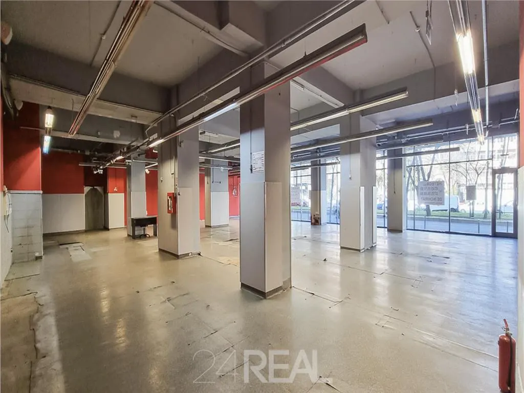 Spatiu comercial stradal Nicolae Titulescu — 2