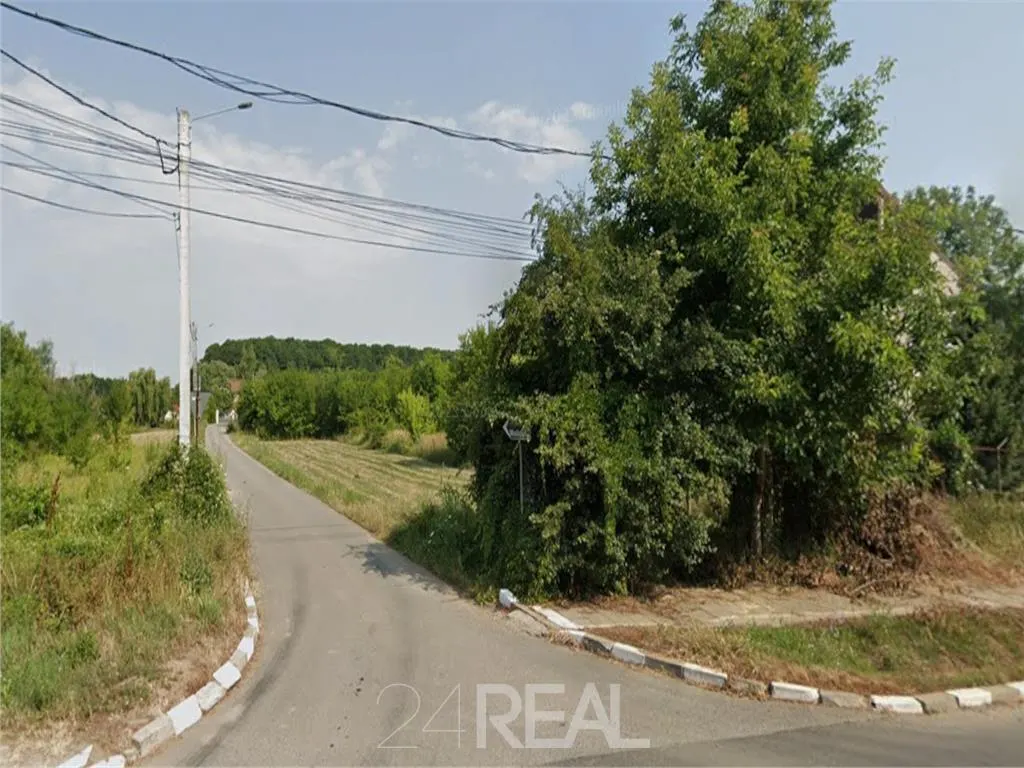 Teren de vanzare in Snagov - 981 mp — 3