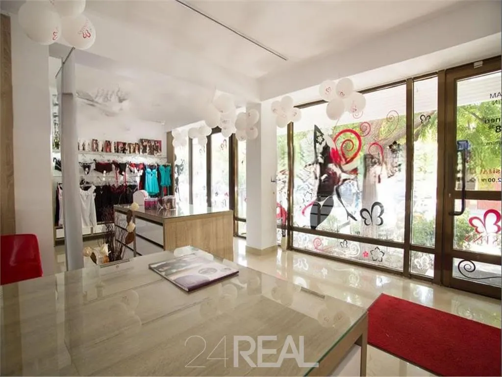 Inchiriere spatiu comercial Piata Muncii - pretabil birouri/retail — 3