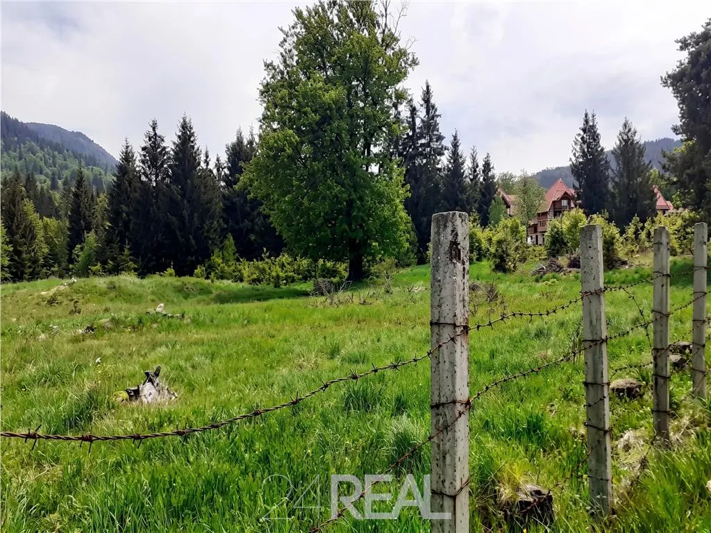 Vanzare teren Poiana Brasov — 3
